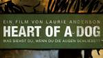HEART OF A DOG