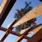 Holz und seine Konstruktionen