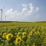 EEG-Reform schadet kleinen Akteuren