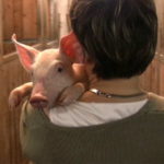 IM NAMEN DER TIERE