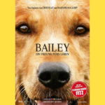 BAILEY - EIN FREUND FÜRS LEBEN