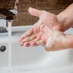 Immunsystem und Hygiene: Gemeinsam gegen Krankheitserreger