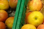 Zur Ernährungsfrage Großbritanniens und möglicher Lösungswege