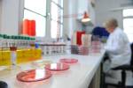 Goethe-Corona-Fonds ist mit Fördermitteln dabei eine Biobank aufzubauen