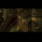 Video Simon Fluck online!