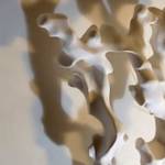 Schaufensterschau: Fluide Formen Jan Hooss