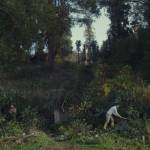 DIE ZÄHMUNG DER BÄUME - TAMING THE GARDEN