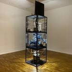 Über Klima, Kunst und Wetter