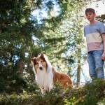 LASSIE - EIN NEUES ABENTEUER