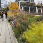 Garden Futures. Designing with Nature