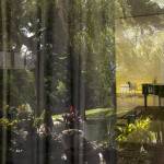 Architectural Portraits - The Mies Project. Arina Dähnick