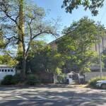 Schirn Kunsthalle Frankfurt zieht während Sanierungsphase in Dondorf-Druckerei