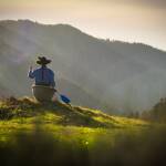 Auf kreativer Tour durch den Schwarzwald