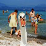 Die Leica Galerie Frankfurt präsentiert „Martin Parr in Colour“