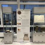 Das römische Nida im Bibliothekszentrum Nordweststadt