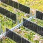 Leichtes Solar-Gründach mit geringerem CO2-Fußabdruck