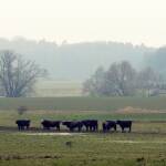 Im Rodachtal: Unterwegs in der Region „Coburg.Rennsteig“ in Oberfranken und Thüringen