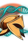 Kaputtes DNA-Reparaturwerkzeug beschleunigt Alterung